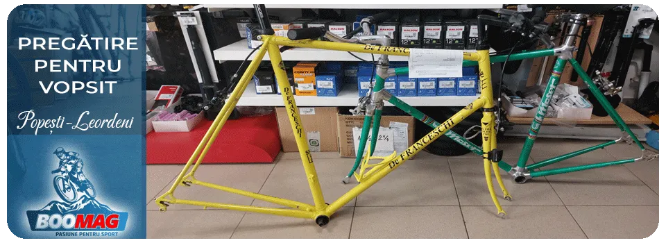 Demontare bicicleta pentru vopsit