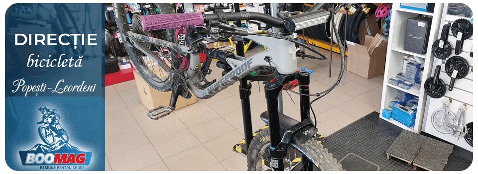 Service furca bicicleta direcție