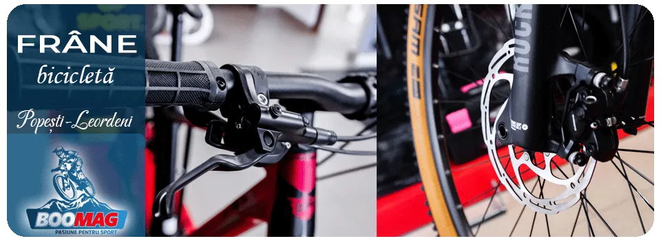 Service reglare frâne