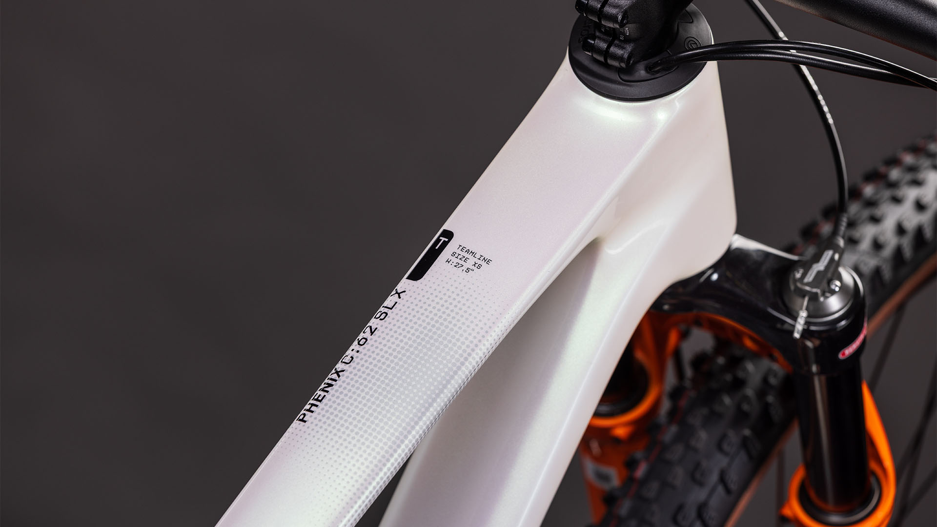 BICICLETA COPII CUBE PHENIX C:62 ROOKIE SLX TEAMLINE 2026 cadru S (15") - roti 29 [1]