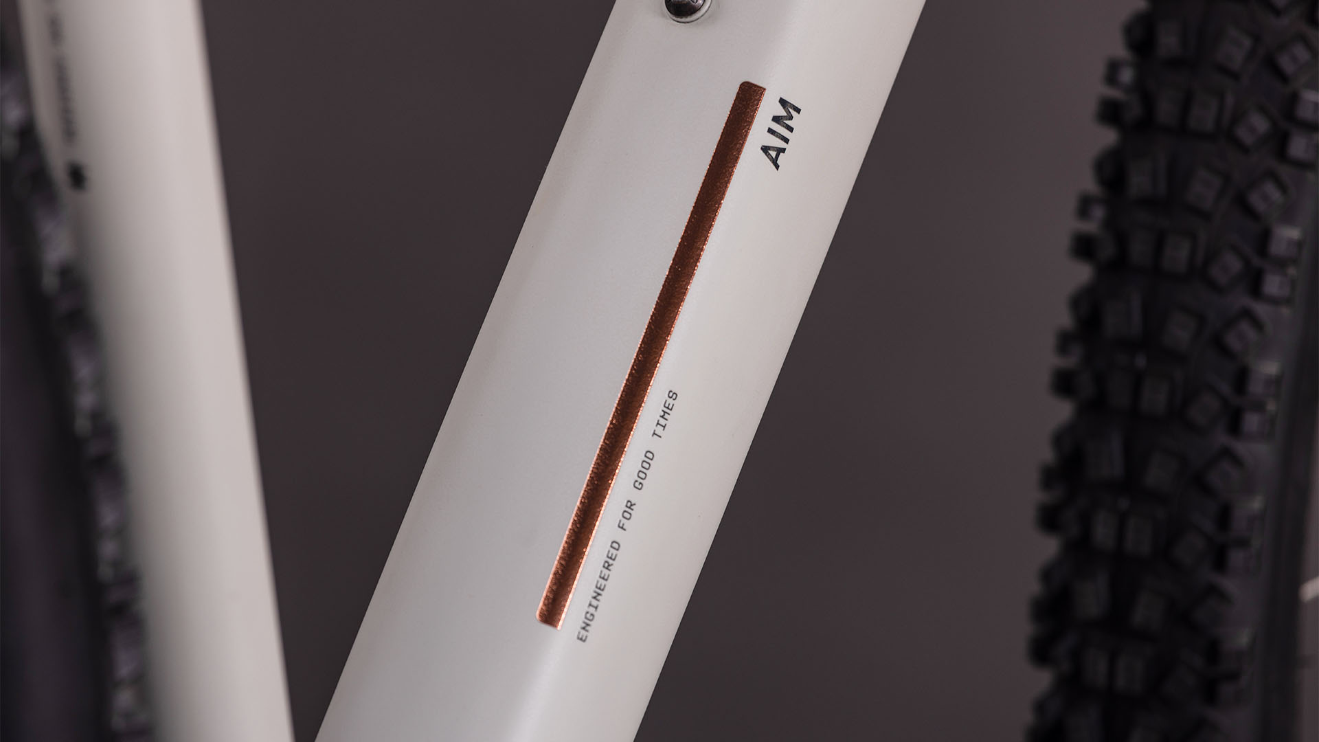 BICICLETA CUBE AIM PRO GREIGE TITAN 2026 cadru L (19") - roti 29 [3]