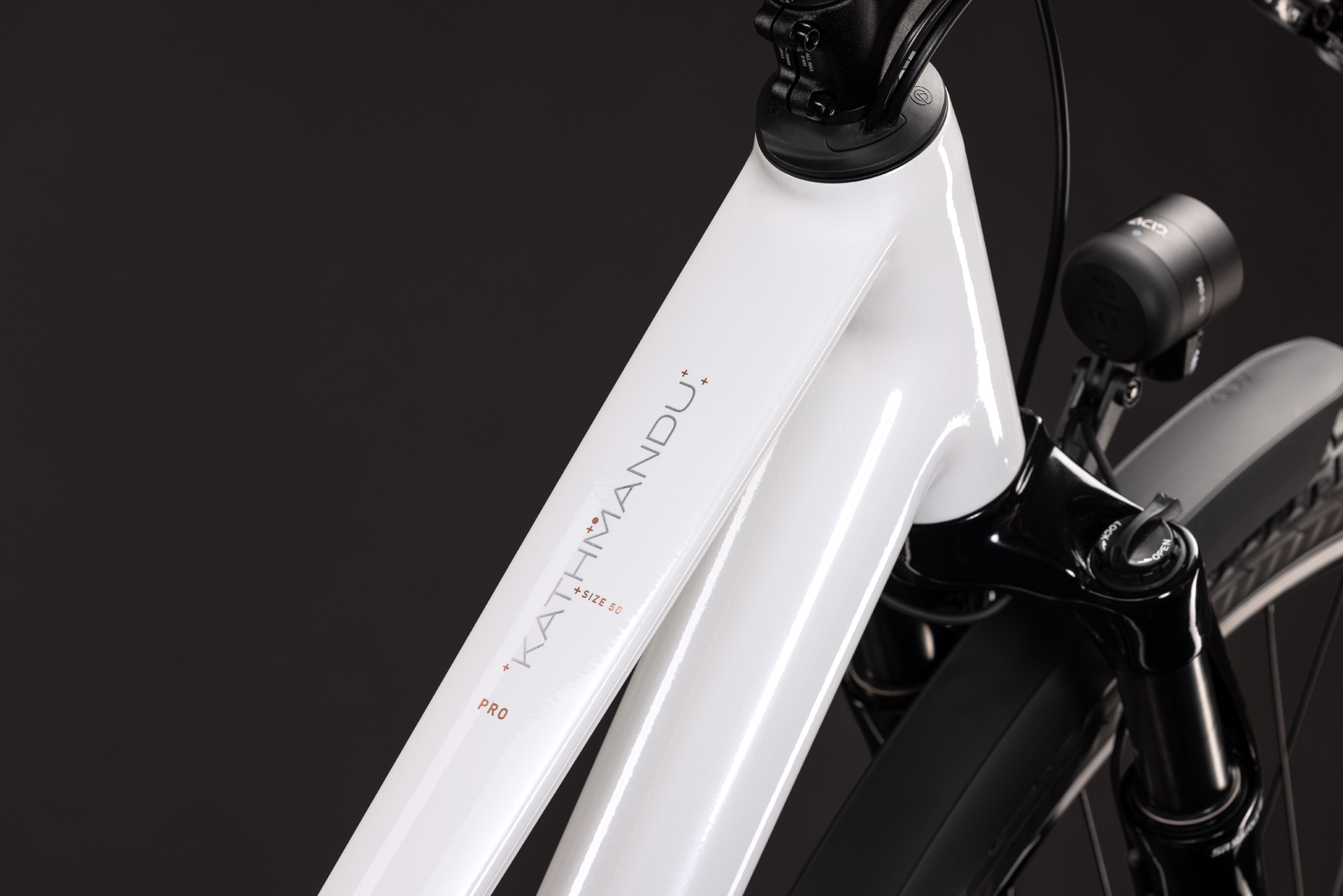 BICICLETA CUBE KATHMANDU PRO TRAPEZE METALLICWHITE CHROME 2027 54 cm [1]