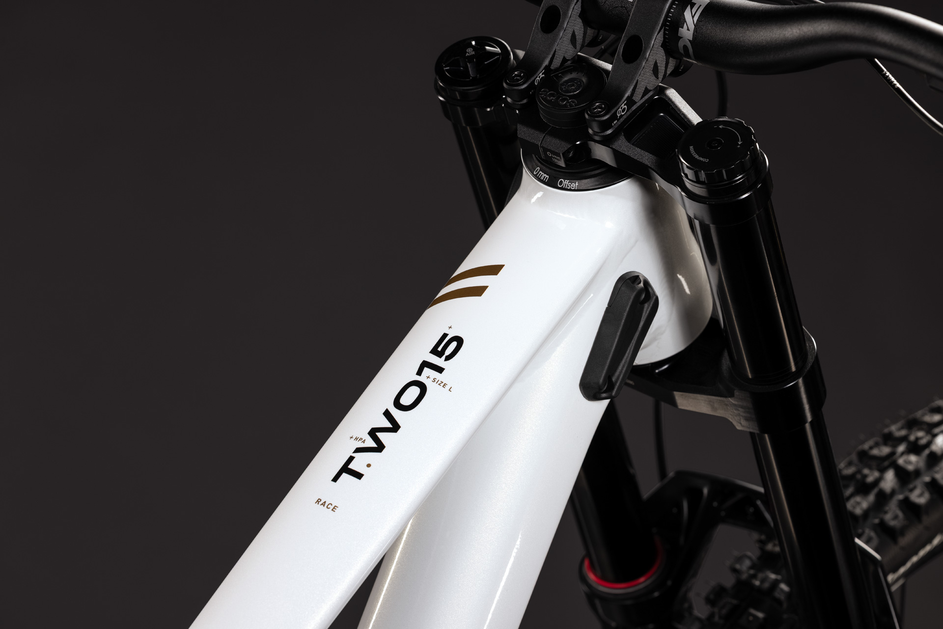 BICICLETA CUBE TWO15 RACE POWDERGOLD BLACK 2027 M [2]