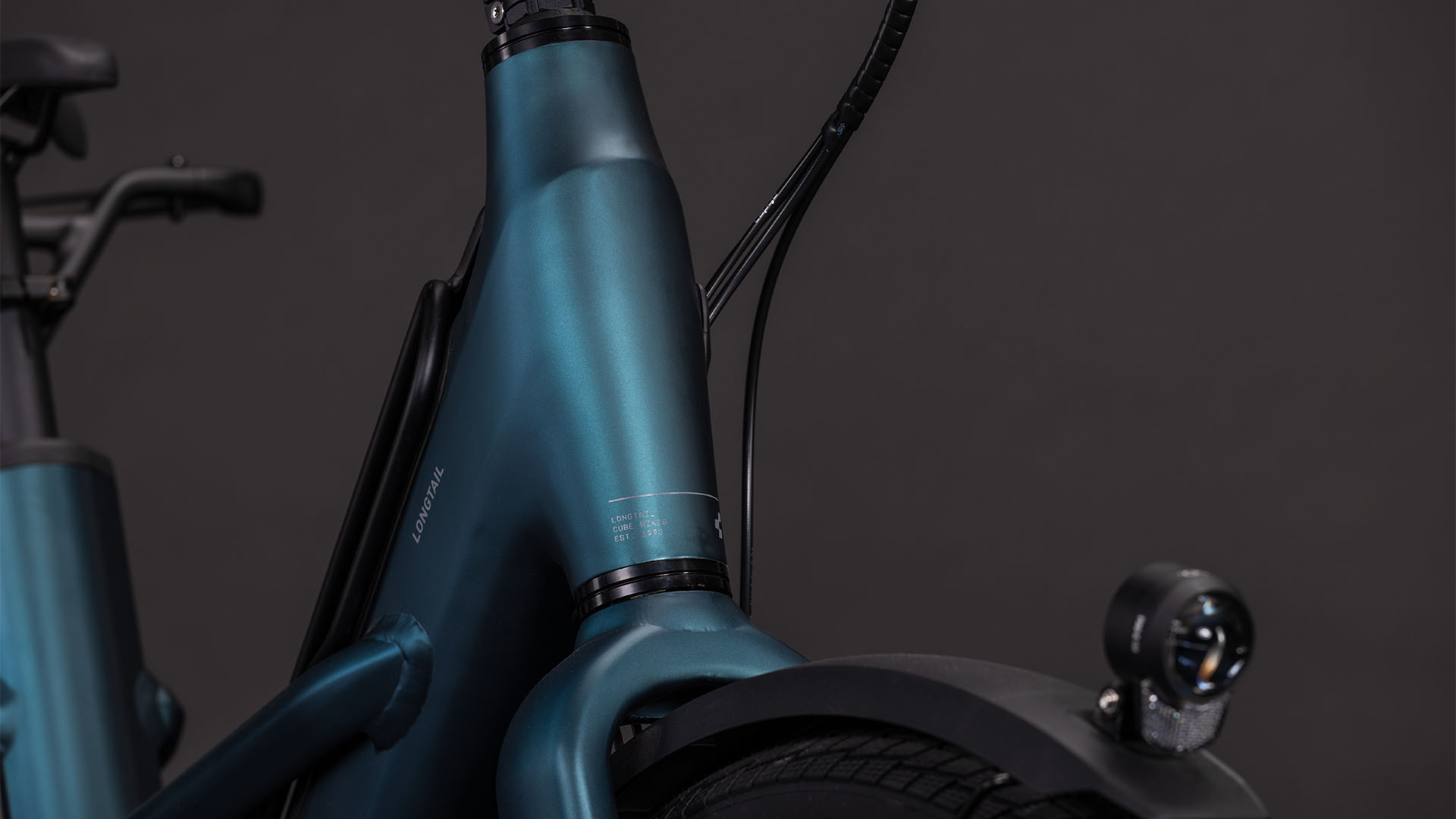 BICICLETA ELECTRICA CUBE LONGTAIL HYBRID 800 ROYALGREEN BLACK 2026 One Size [4]