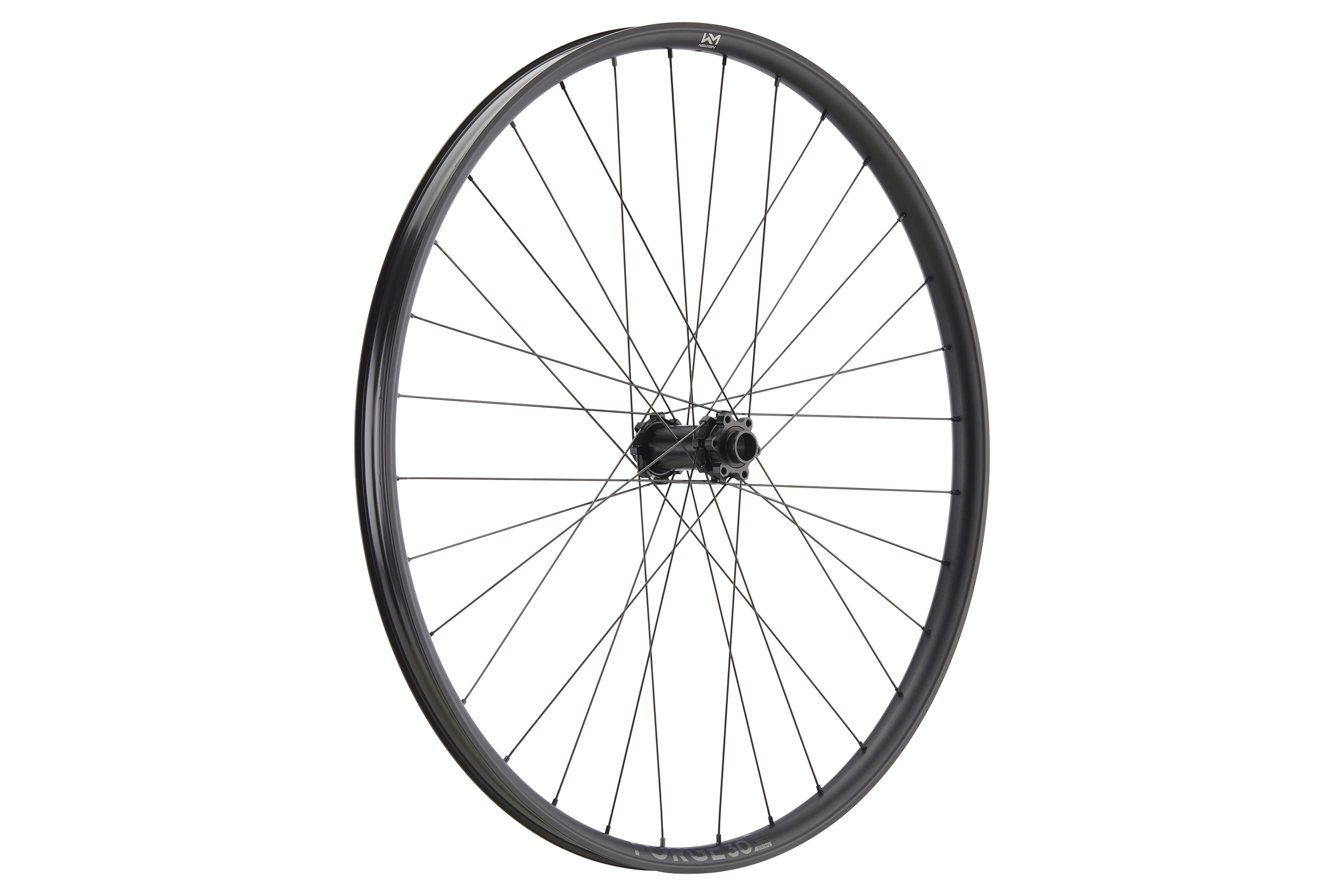 Piese biciclete - ROATA FATA NEWMEN FORGE 30 STRONG 29INCH 32H FADE SP 6B 15-20X110 29inch