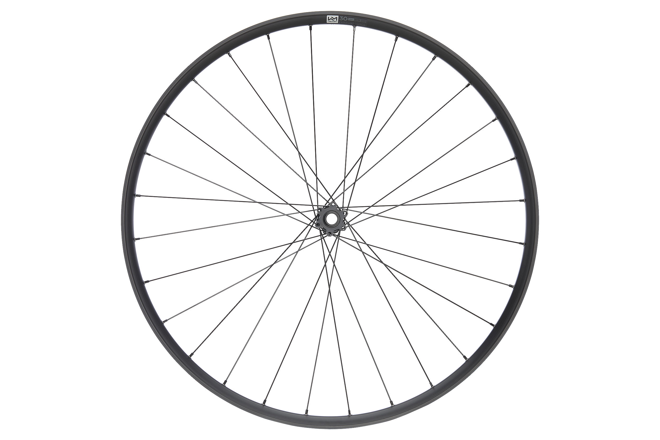 ROATA FATA NEWMEN PERFORMANCE 30 LIGHT 28H FADE SP 6B 15X110 29inch [1]