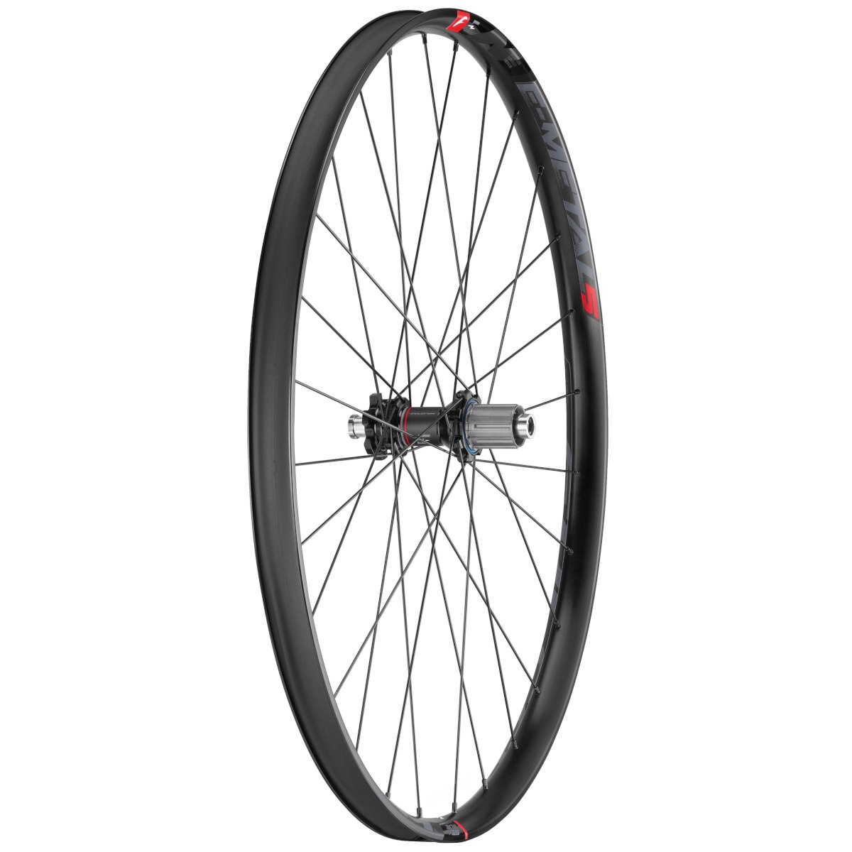 ROATA SPATE FULCRUM E-METAL 5 29 2WF-R 6 BOLTS BOOST SHIMANO HG [1]