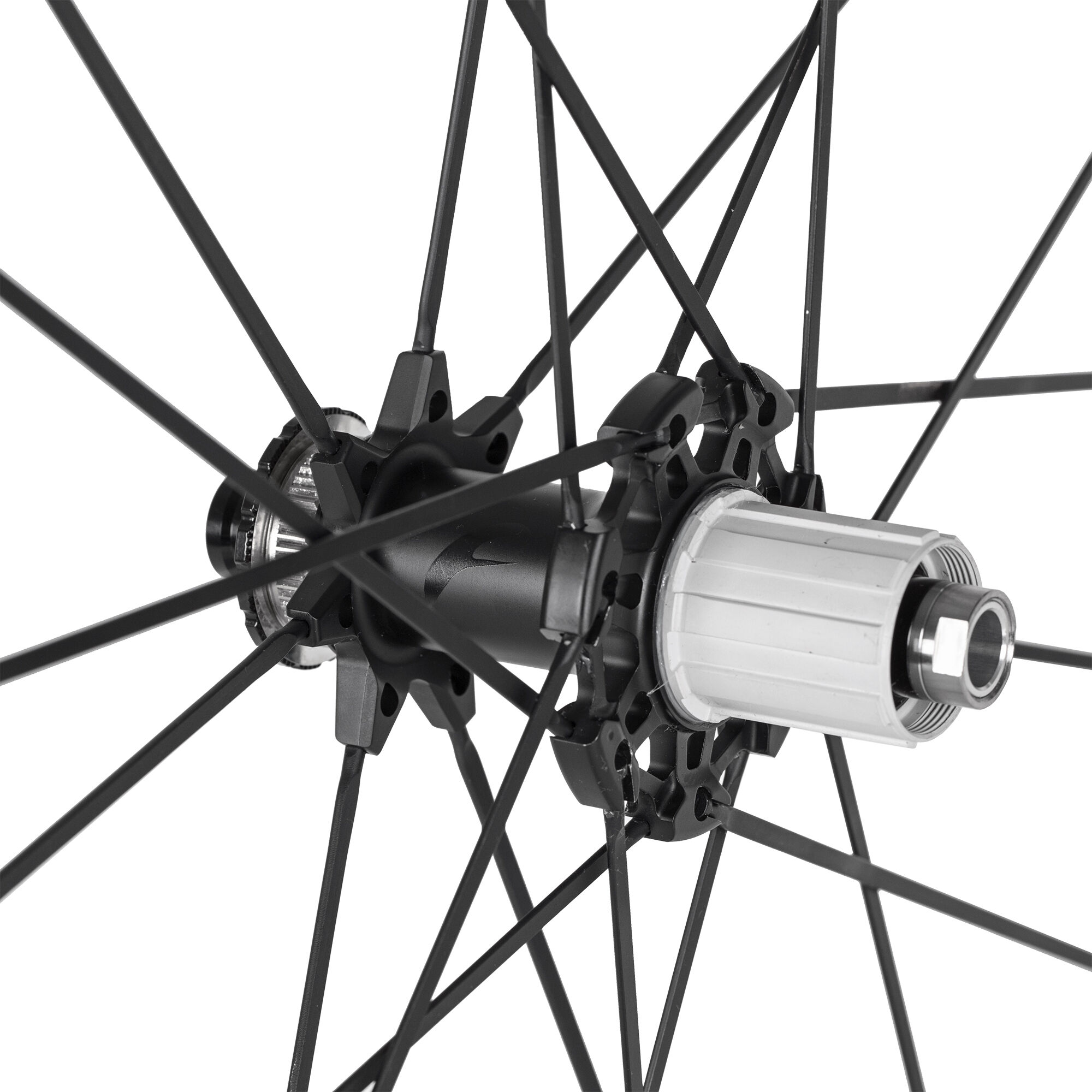 ROATA SPATE FULCRUM RACING ZERO CMPTZN DB C19 2WF AFS SHIMANO HG [2]