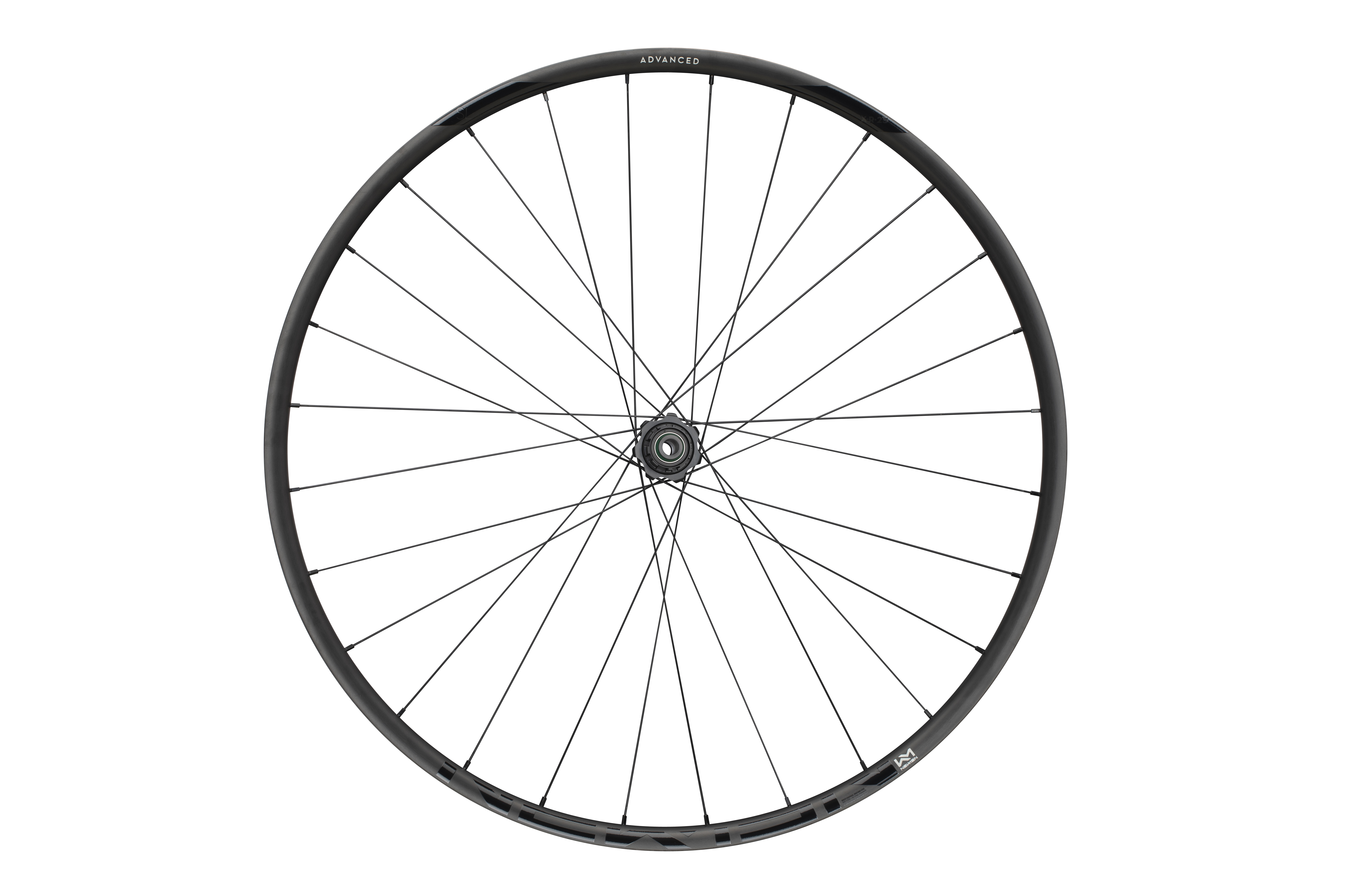 ROATA SPATE NEWMEN ADVANCED SL X.R.25 29INCH 28H FADE R SP CL 12X142 Micro Spline [3]