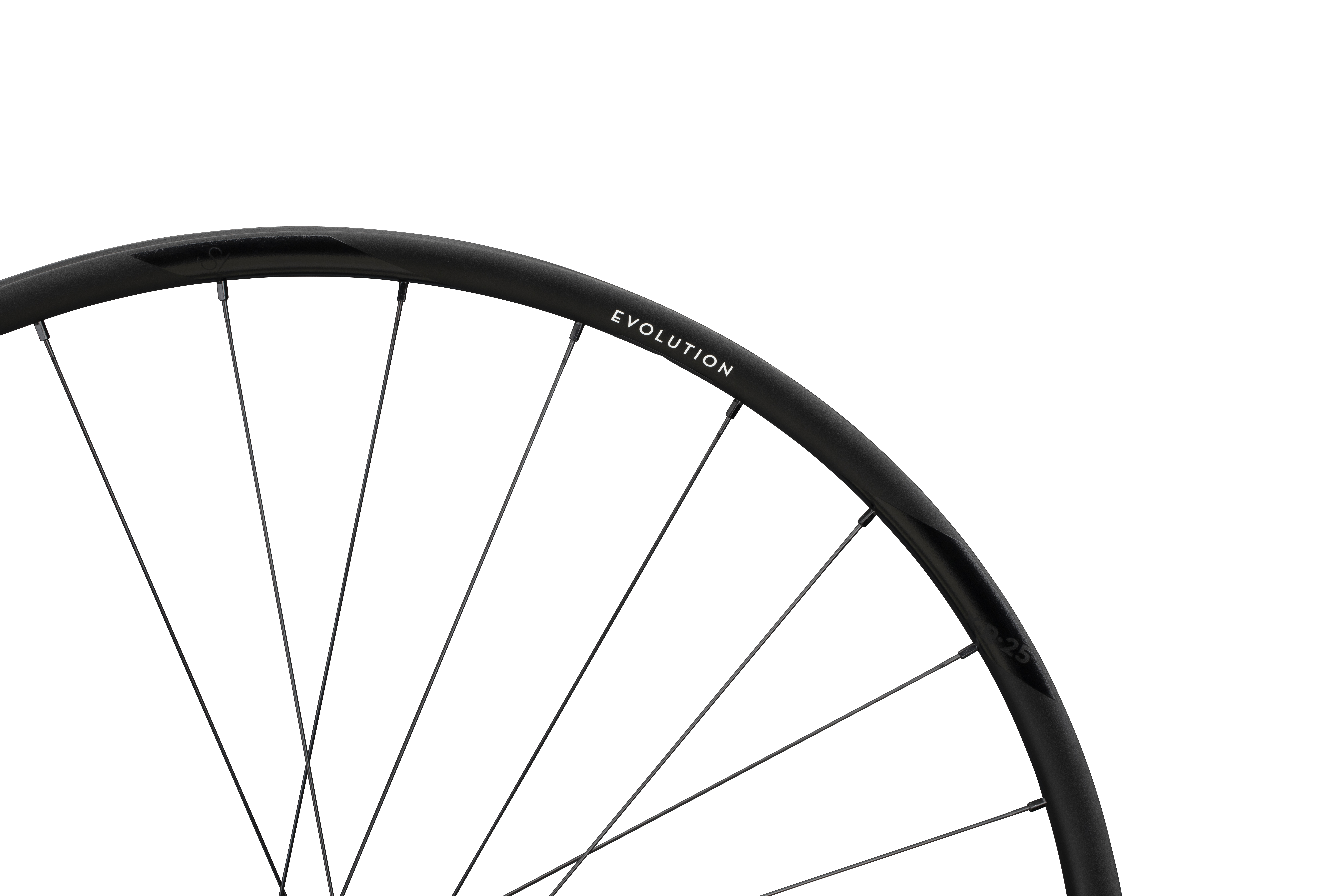 ROATA SPATE NEWMEN EVOLUTION SL X.R.25 29INCH 28H FADE R SP CL 12X142 Micro Spline [2]