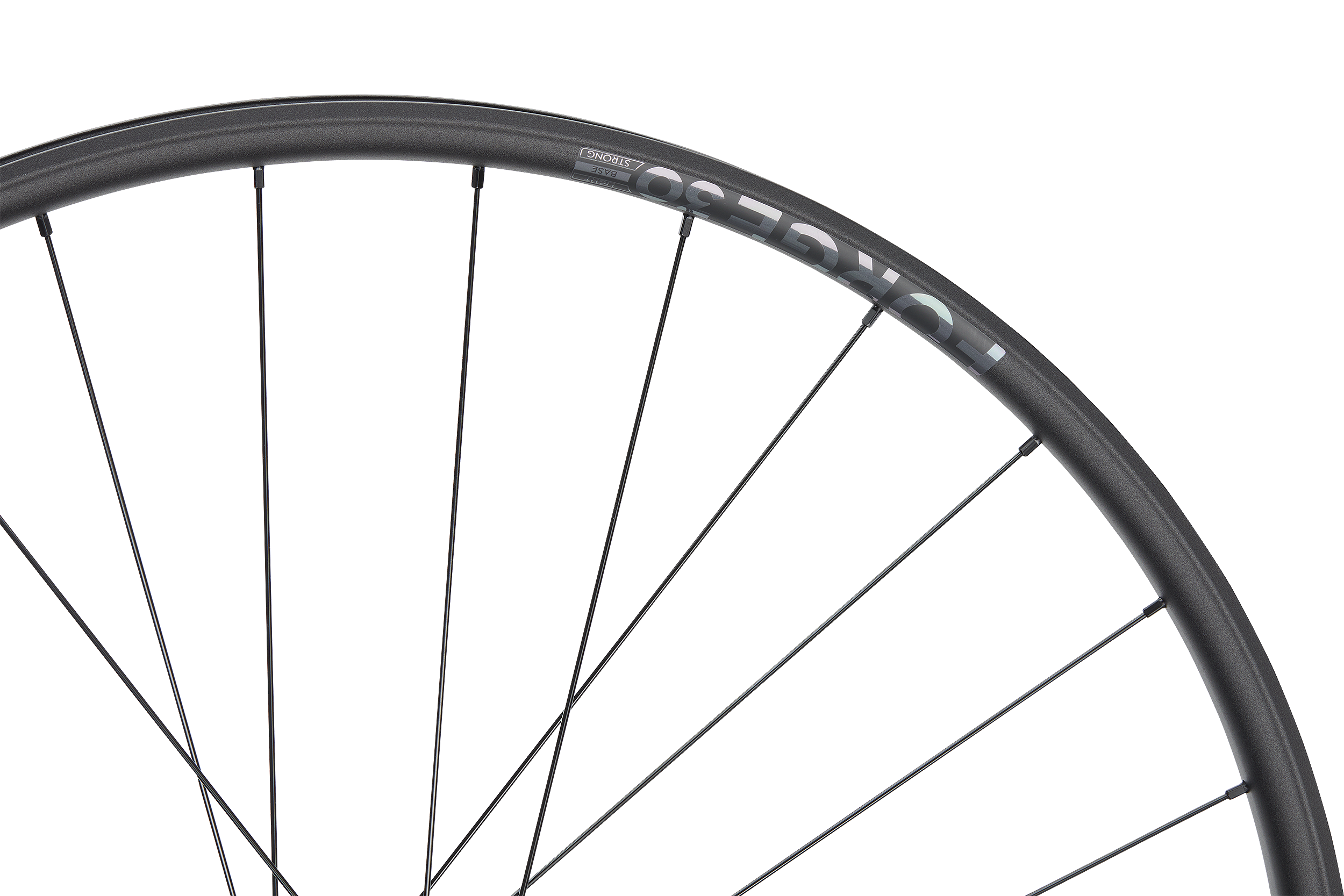 ROATA SPATE NEWMEN FORGE 30 BASE 29INCH 28H FADE SP 6B 12X148 Micro Spline [3]