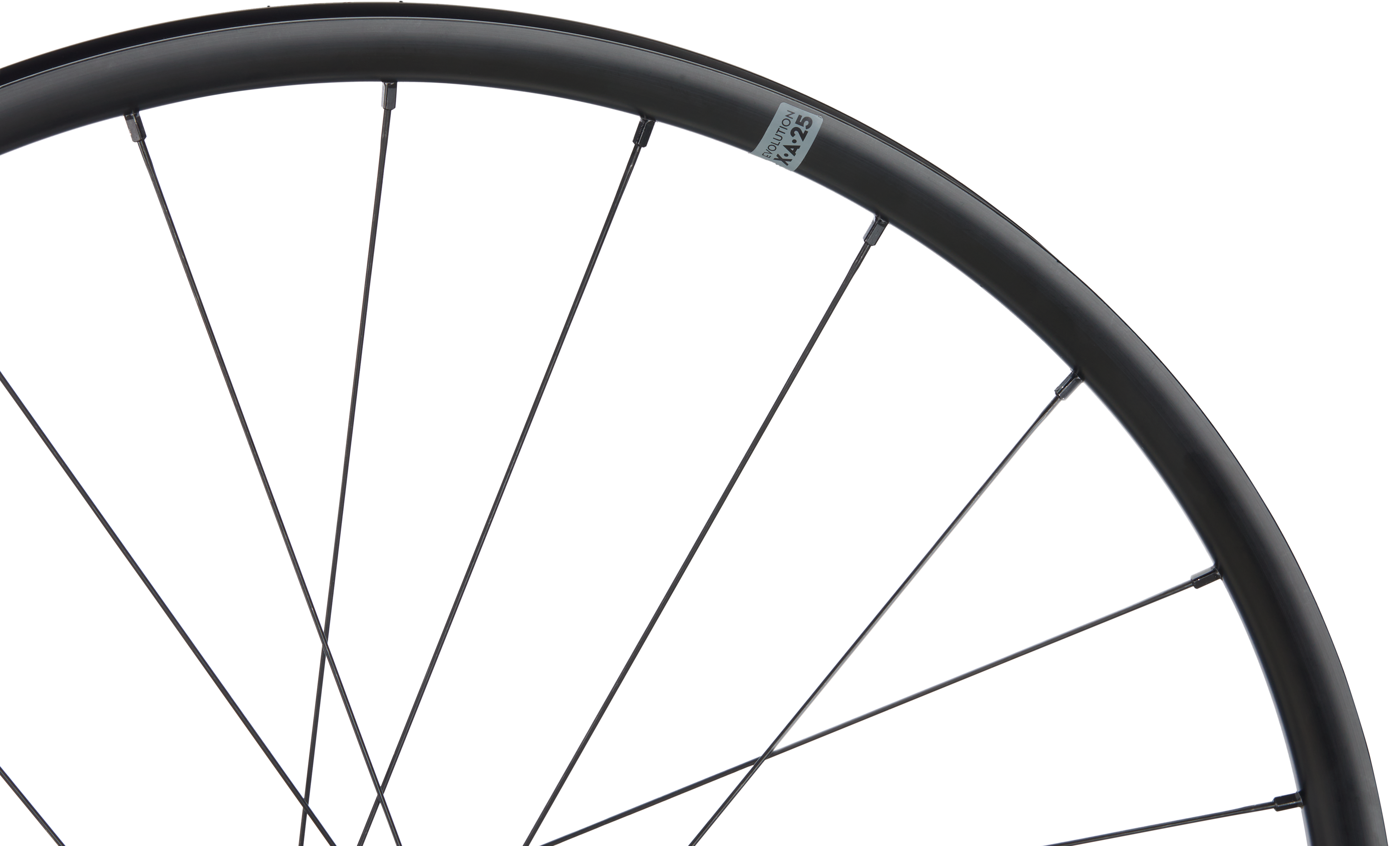 ROATA SPATE NEWMEN KIDS EVOLUTION X.A.25 26INCH 12X142 SP 6BOLT 24H Sram XD [1]