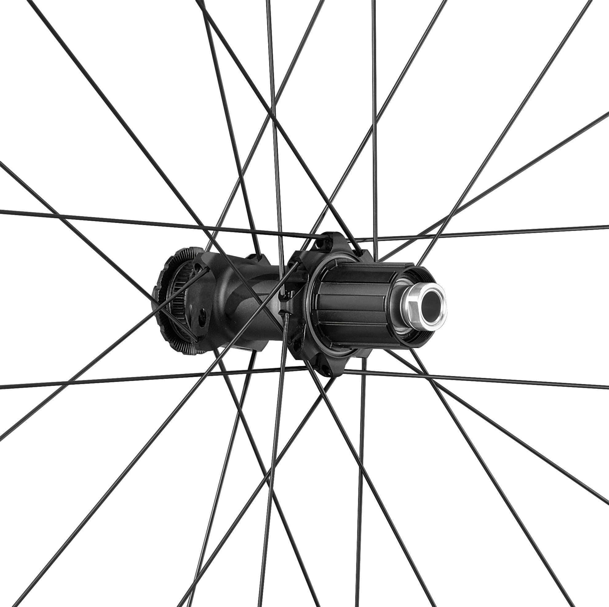 ROATA SPATE ROATA FATA FULCRUM RAPID RED 3 2WF-R C24 AFS SHIMANO HG [3]