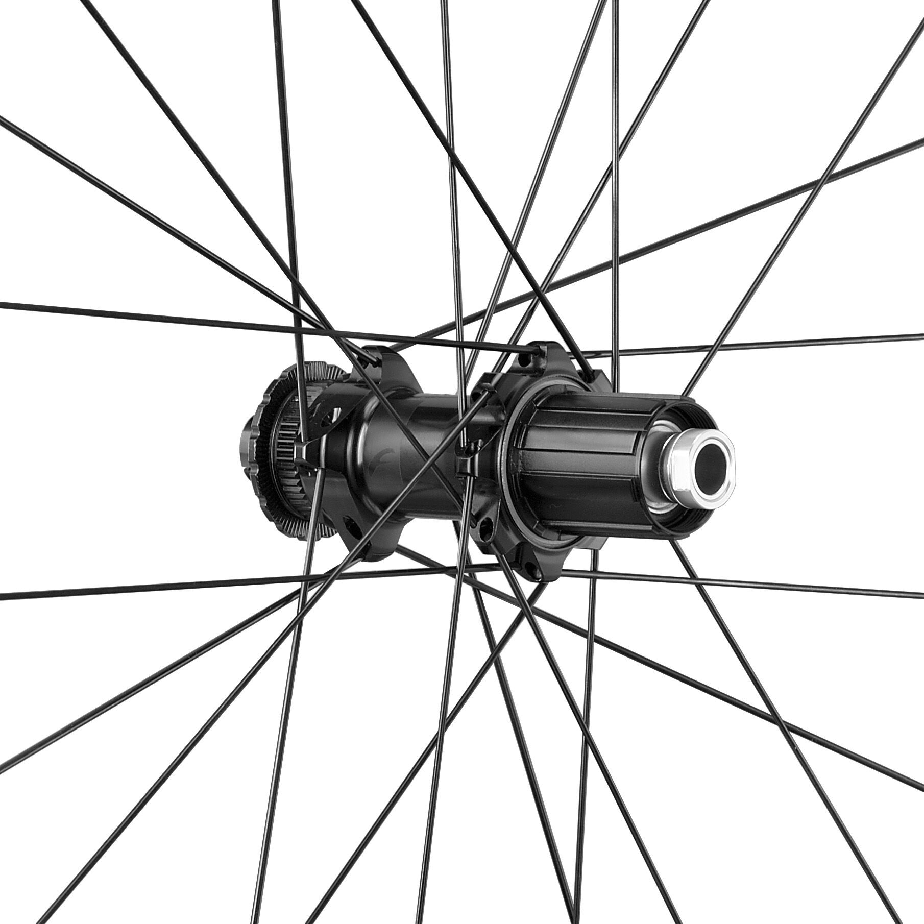 SET ROTI FULCRUM SONIQ 42 2-WAYF C25 DISC AFS 28" Campagnolo [4]