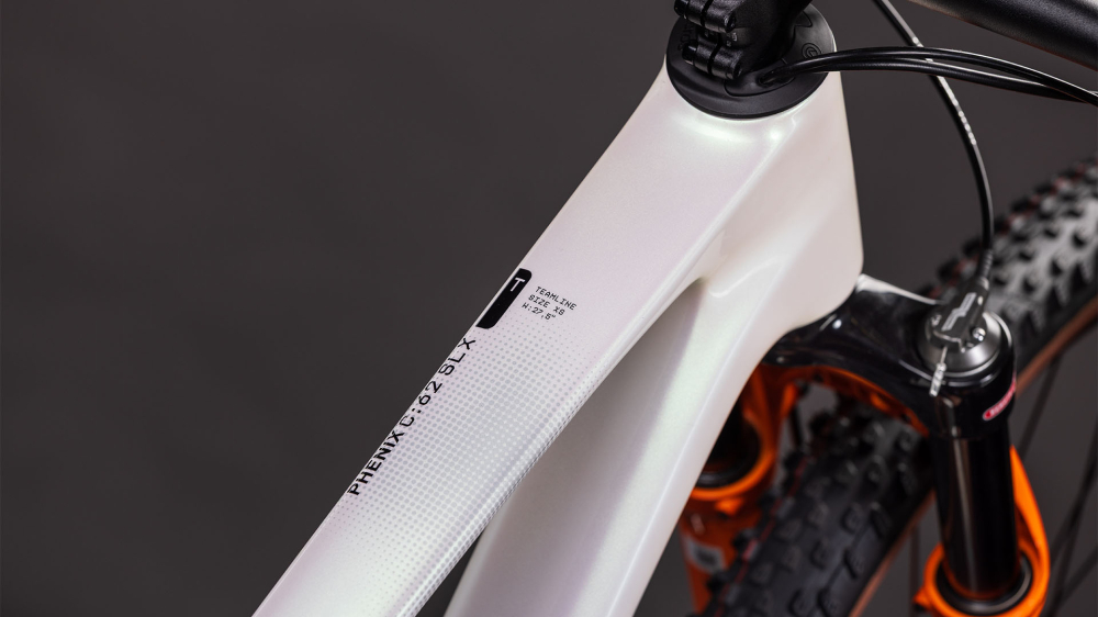 BICICLETA COPII CUBE PHENIX C:62 ROOKIE SLX TEAMLINE 2026 cadru S (15") - roti 29 [2]