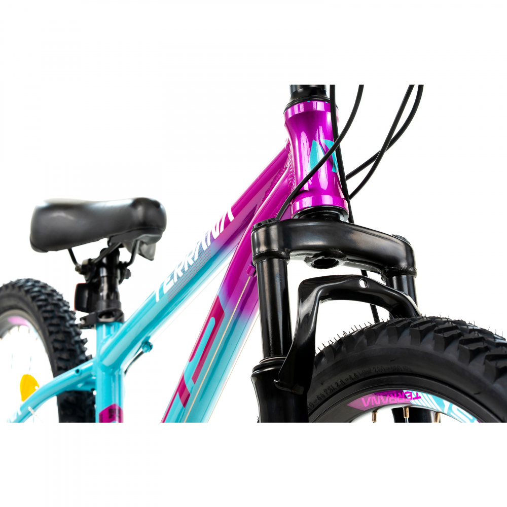Bicicleta Copii Dhs Terrana 2423 - 24 Inch, Albastru/Violet [4]