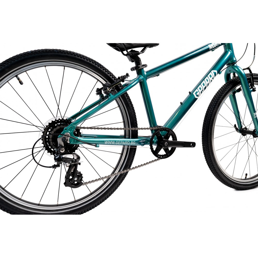 BICICLETA COPII GEPARD ROAR 24INCH Green [3]