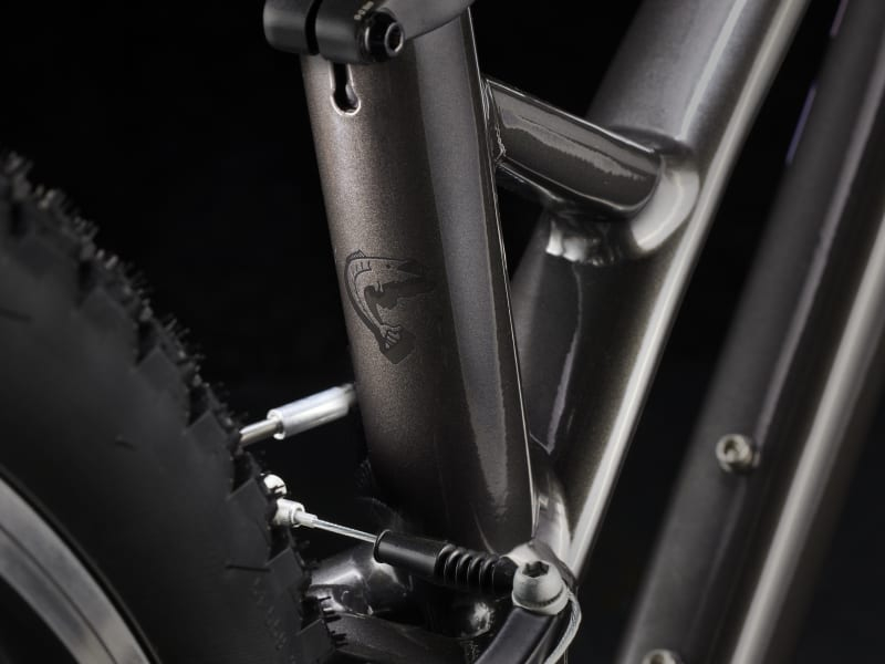 BICICLETA COPII TREK WAHOO 26INCH PATH DNISTER BLACK [4]