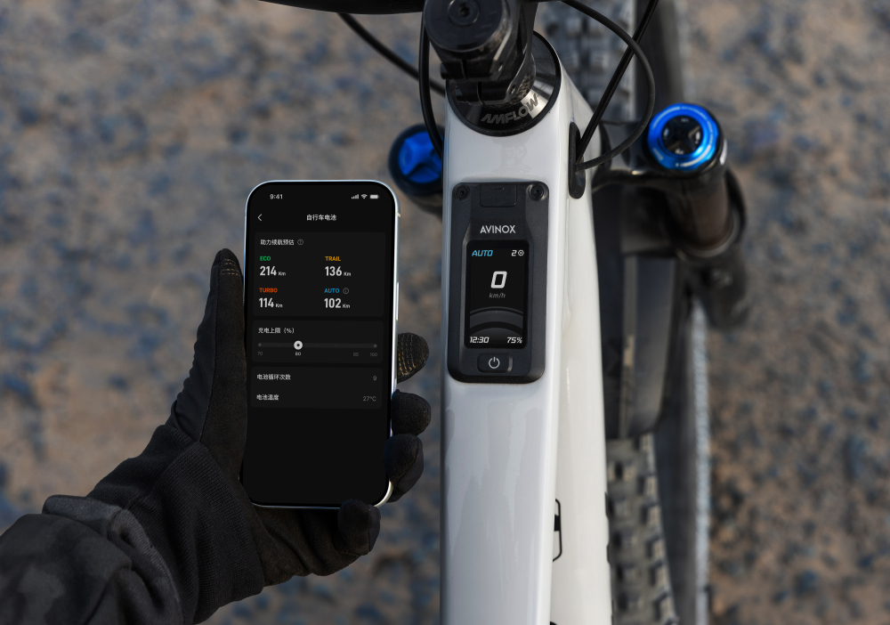 BICICLETA ELECTRICA AMFLOW PX CARBON PHANTOM BLACK M [5]