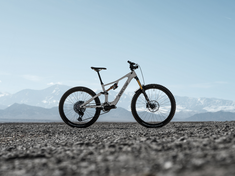 BICICLETA ELECTRICA AMFLOW PX CARBON PRO MOONSTONE GRAY L [2]