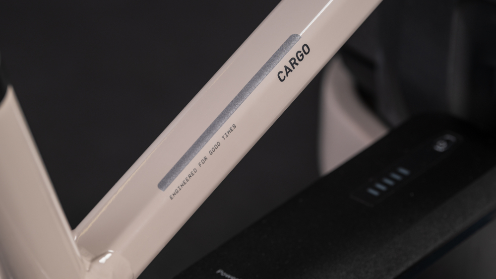 BICICLETA ELECTRICA CUBE CARGO HYBRID COMFORT PRO FAMILY 800 OATGREY REFLEX 2026 One Size [3]