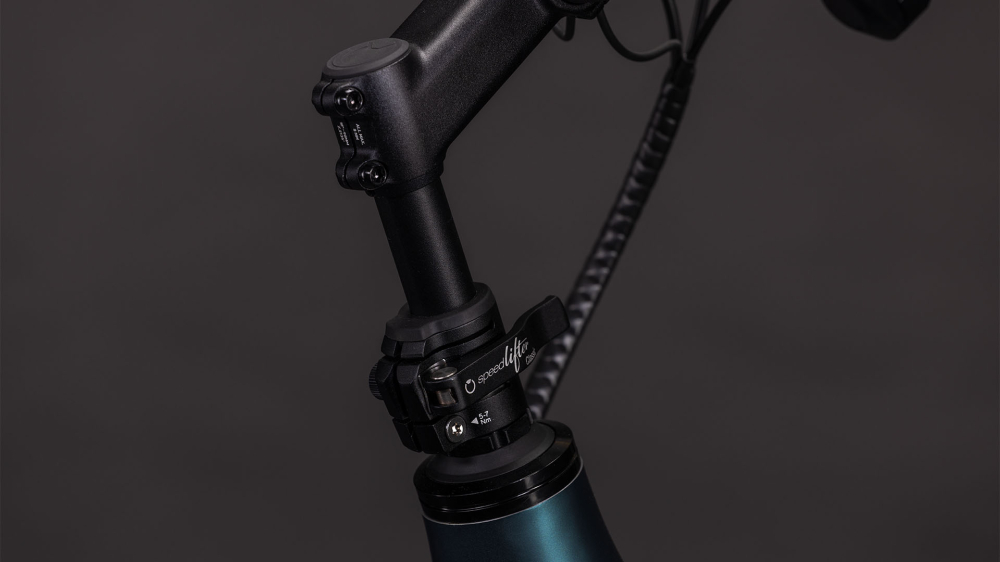 BICICLETA ELECTRICA CUBE LONGTAIL HYBRID 800 ROYALGREEN BLACK 2026 One Size [4]