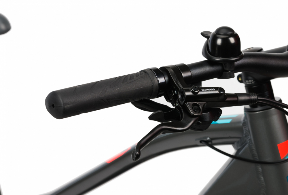 Bicicleta Electrica Devron 28161 - 28 Inch, 490mm, Negru [5]