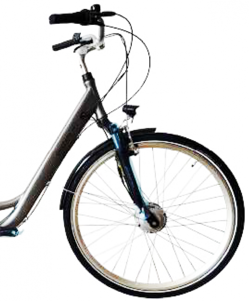 Bicicleta Electrica Devron 54428 - 28 Inch, 480 mm, Gri [2]