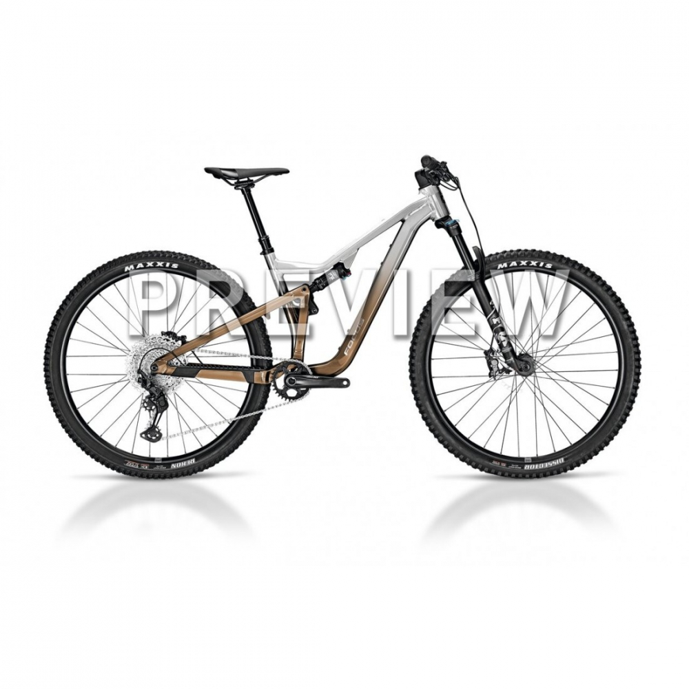Bicicleta Focus Thron 6.9 29 Nepal Silver / Platinum Bronze - L(45cm) [1]