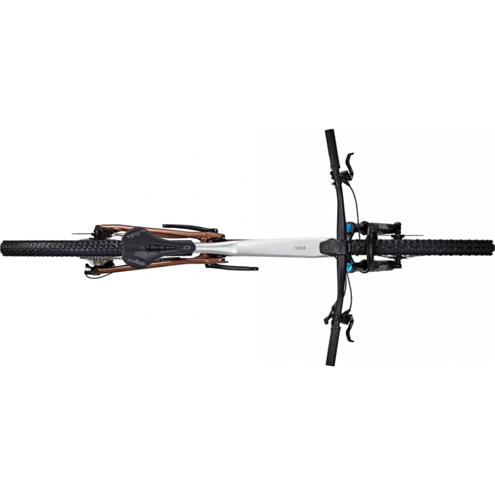 Bicicleta Focus Thron 6.9 29 Nepal Silver / Platinum Bronze - L(45cm) [3]