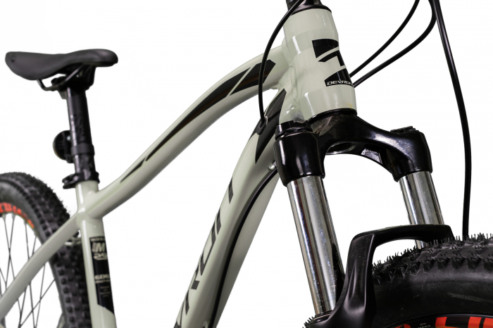 Bicicleta Mtb Devron 2023 RM3.9 - 29 Inch, L, Argintiu [4]