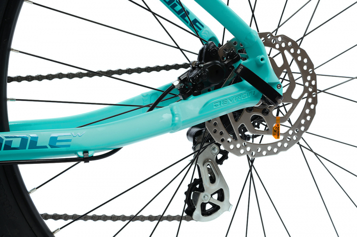 Bicicleta Mtb Devron RW1.9 - 29 Inch, L, Turcoaz [4]