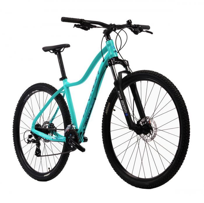 Bicicleta Mtb Devron RW1.9 - 29 Inch, L, Turcoaz [2]