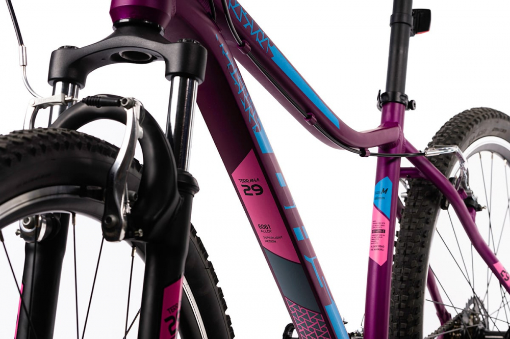 Bicicleta Mtb Terrana 2922 - 29 Inch, M, Violet [3]
