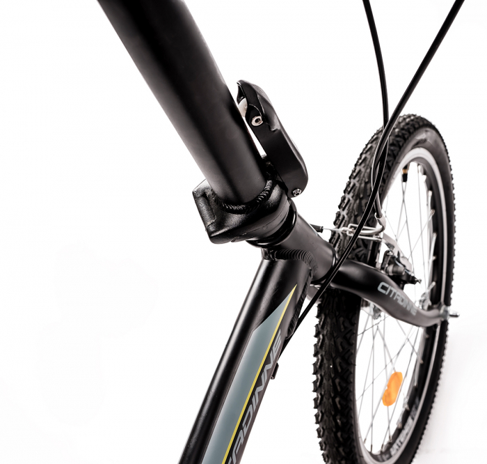 Bicicleta Pliabila Dhs 2095 - 20 Inch, Negru [3]
