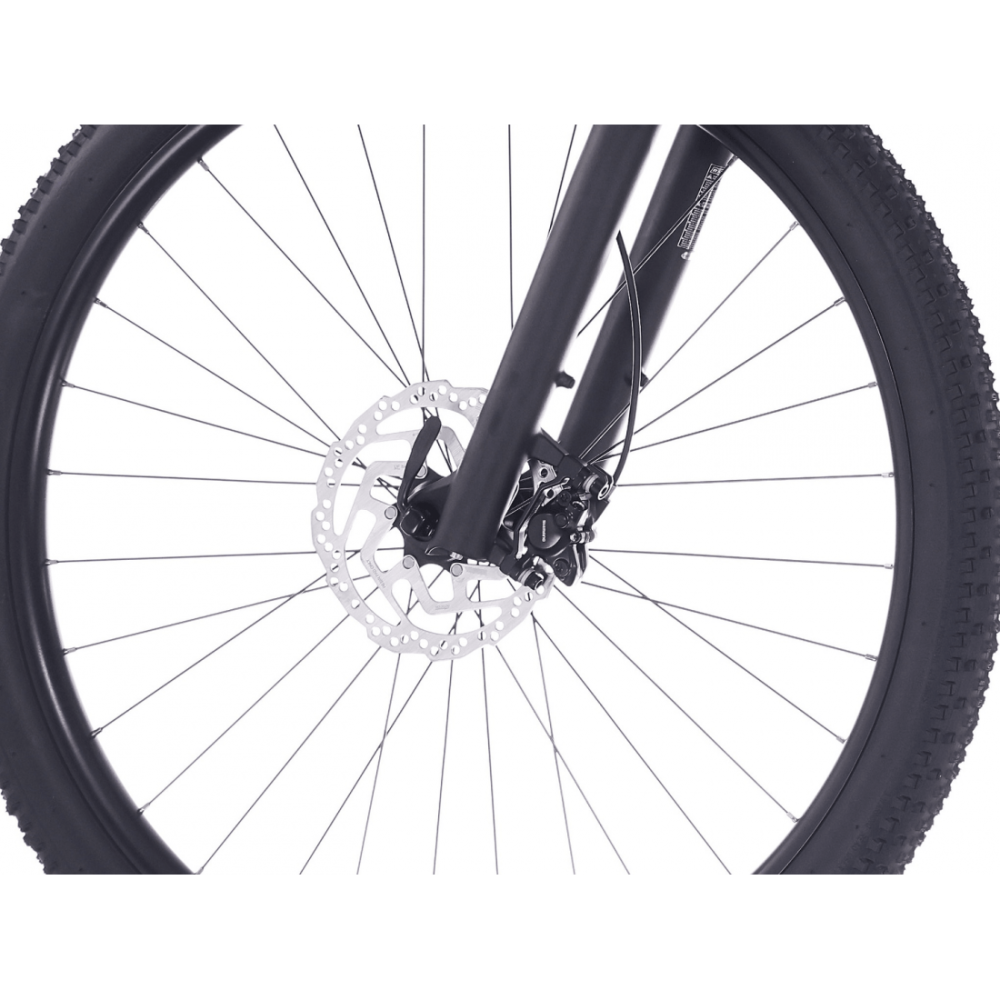 Bicicleta Rock Machine Blizz 20 29 Matte Sand 48cm - (L) [2]