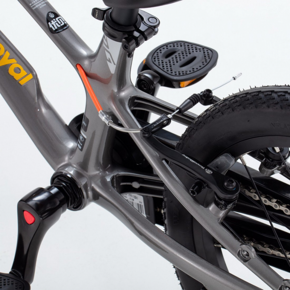 Bicicleta Royal Baby EZ Space Shark 18 Grey [7]