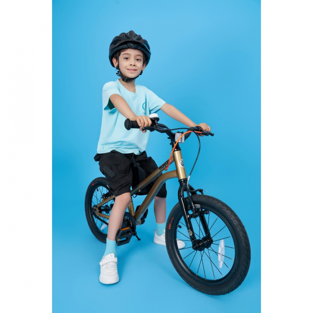 Bicicleta Royal Baby Kable-Belt 16 Golden [7]