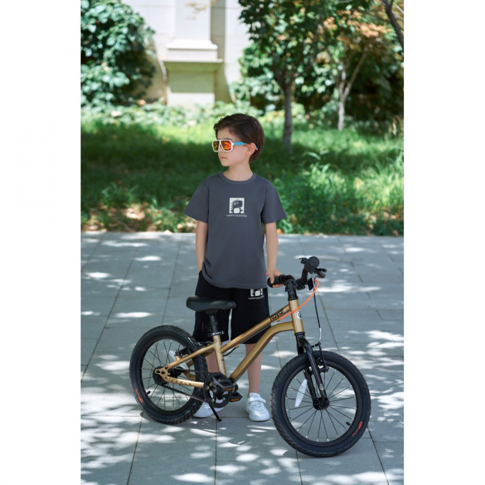 Bicicleta Royal Baby Kable-Belt 16 Golden [8]