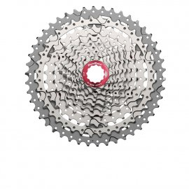 Pinion MTB SUNRACE CSMX3 10V-11-40 T Silver [1]