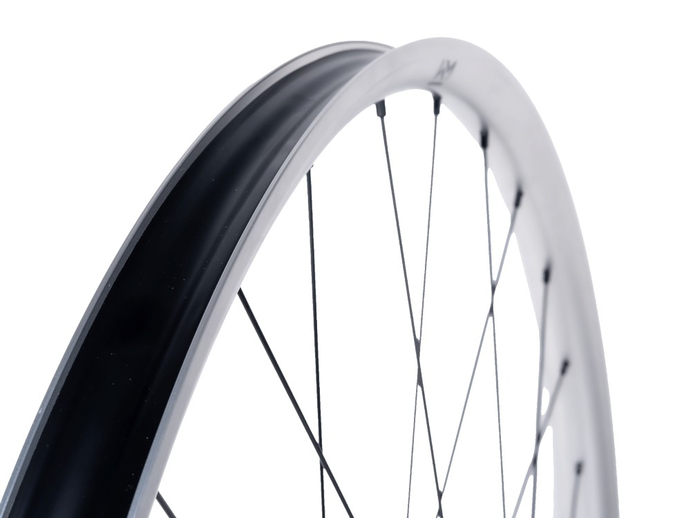 ROATA FATA NEWMEN BESKAR 30 BASE 29" 28H FADE SP 6B 15X110 LTD Silver [5]