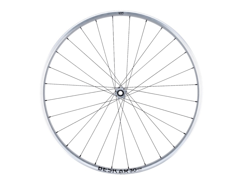 ROATA FATA NEWMEN BESKAR 30 BASE 29" 28H FADE SP 6B 15X110 LTD Silver [2]