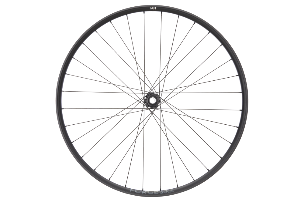 ROATA FATA NEWMEN FORGE 30 STRONG 29INCH 32H FADE SP 6B 15-20X110 29inch [2]