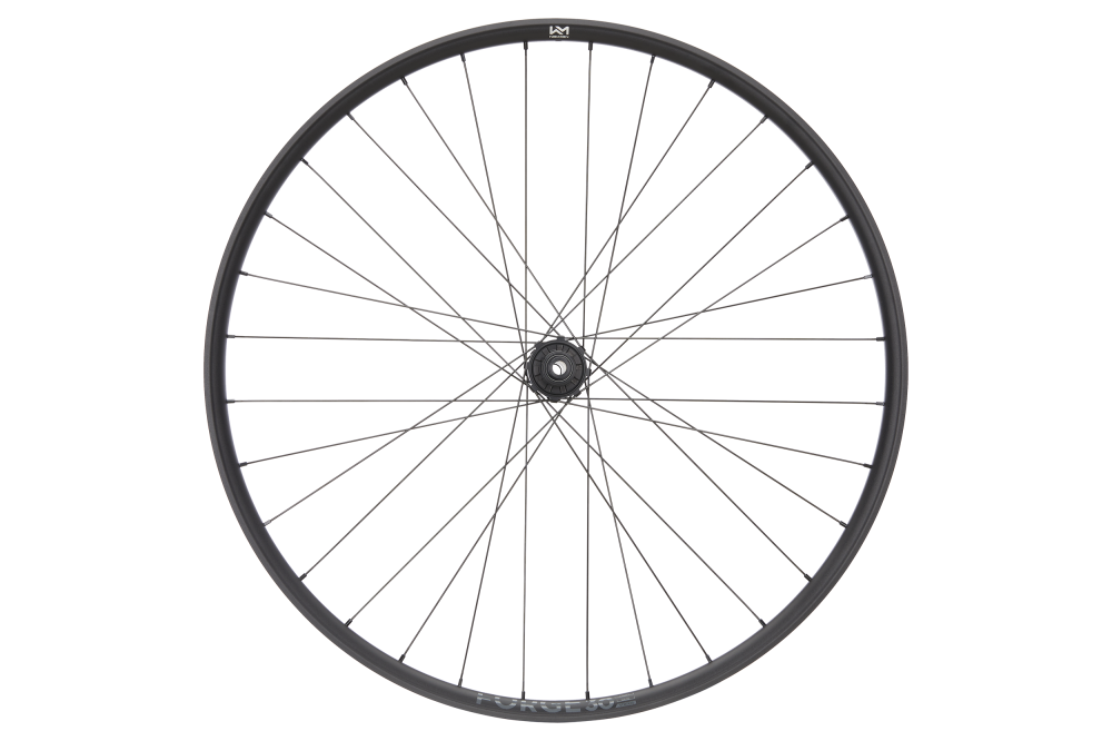ROATA SPATE NEWMEN FORGE 30 STRONG 29INCH 32H FADE SP 6B 12X148 Micro Spline [2]