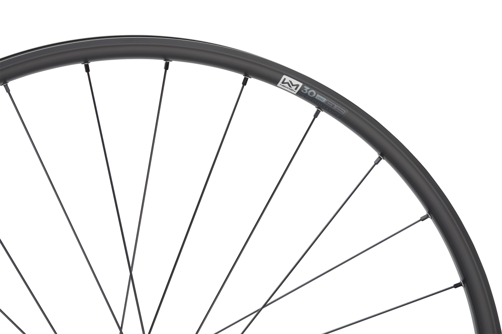 ROATA SPATE NEWMEN PERFORMANCE 30 LIGHT 29INCH 28H FADE SP 6B 12X148 Micro Spline [4]