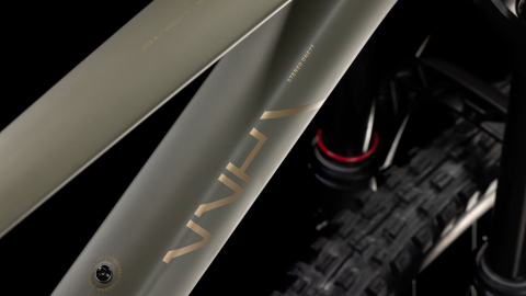 BICICLETA CUBE STEREO ONE77 C:68X TM 29 DUSTYOLIVE GOLD 2025 XL [3]