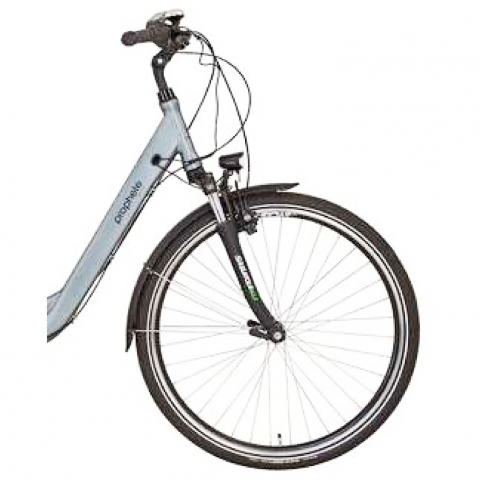 Bicicleta Electrica Devron 54803 - 28 Inch, 460 mm, Gri [1]