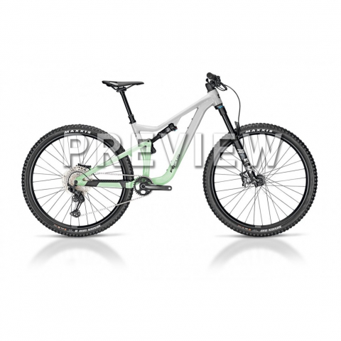 Ciclism - Bicicleta Focus Jam 6.9 29 Lightgrey / Macha - L(45cm)