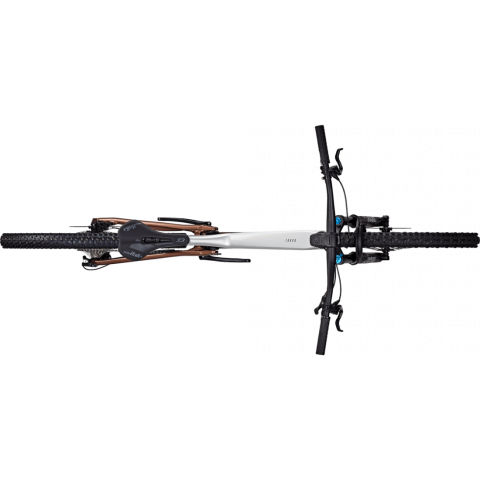 Bicicleta Focus Thron 6.9 29 Nepal Silver / Platinum Bronze - L(45cm) [2]