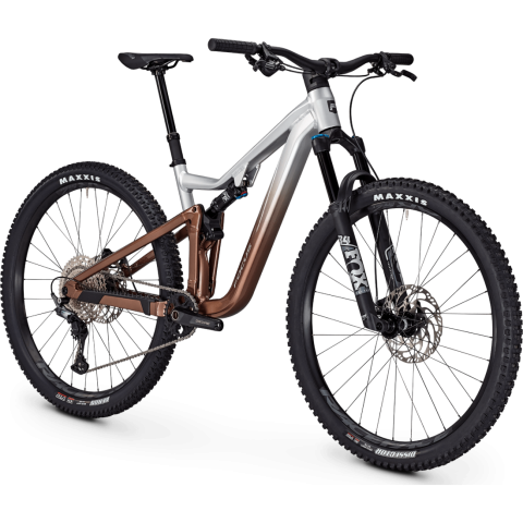 Bicicleta Focus Thron 6.9 29 Nepal Silver / Platinum Bronze - L(45cm) [3]